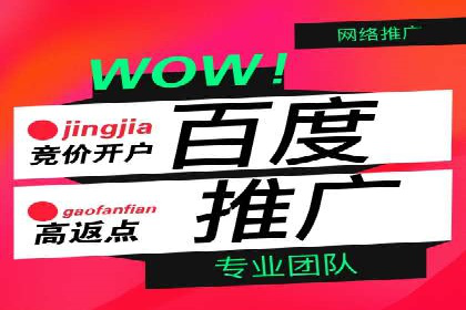 百度推广收费策略：案例分析及优化建议